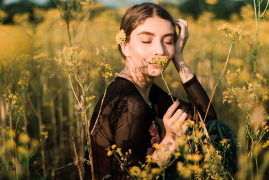 How-to-choose-the-perfect-Aroma-Lux-scent-for-your-space Luxury Aromatix